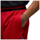 Jordan Ανδρικό σορτς Sport Dri-FIT Mesh Diamond Shorts